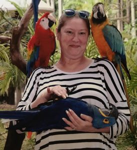 Macaws at Jungle Island